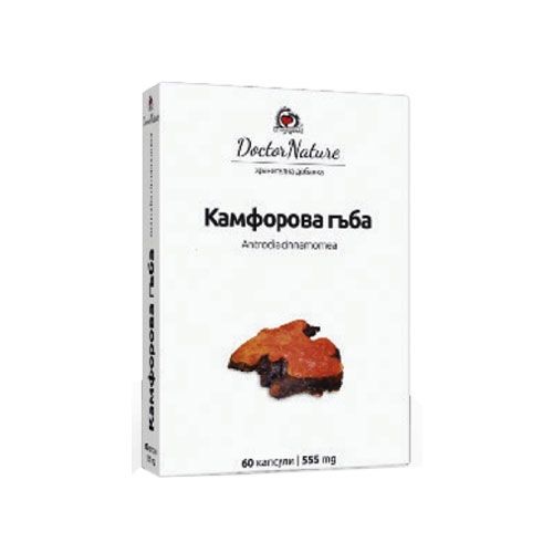 Камфорова гъба (Antrodia cinnamomea) - Витални гъби 