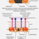 ИНТРОСКАН - РУСКИ АПАРАТ ЗА КОМПЛЕКСНА КВАНТОВА ФИЗИОТЕРАПИЯ С ЛАЗЕРНО, ИНФРАЧЕРВЕНО, UV-УЛТРАВИОЛЕТОВО И ЕЛЕКТРОМАГНИТНО ИЗЛЪЧВАНЕ, ЛЪЧНИЕ ВЪВ ВИДИМИЯ ДИАПАЗОН, КАКТО И КОМБИНАЦИИ ОТ ВСИЧКИ ТЯХ.