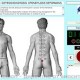 ИНТРОСКАН - РУСКИ АПАРАТ ЗА КОМПЛЕКСНА КВАНТОВА ФИЗИОТЕРАПИЯ С ЛАЗЕРНО, ИНФРАЧЕРВЕНО, UV-УЛТРАВИОЛЕТОВО И ЕЛЕКТРОМАГНИТНО ИЗЛЪЧВАНЕ, ЛЪЧНИЕ ВЪВ ВИДИМИЯ ДИАПАЗОН, КАКТО И КОМБИНАЦИИ ОТ ВСИЧКИ ТЯХ.