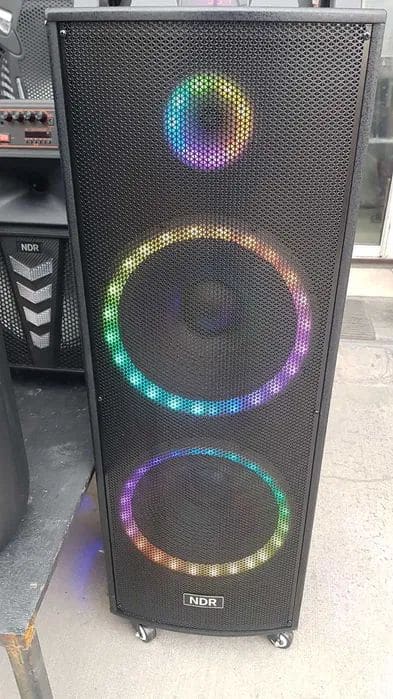 Двойна тонколона 2000W – 2 x 12″ говорители, цветни светлини NDR-1222 – снимка 5