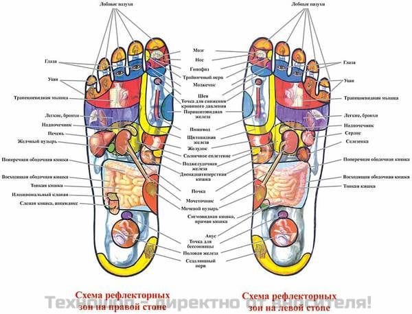 МАСАЖНИ ЧЕХЛИ ЗА РЕФЛЕКСОТЕРАПИЯ LANAFORM Foot Reflex – снимка 2