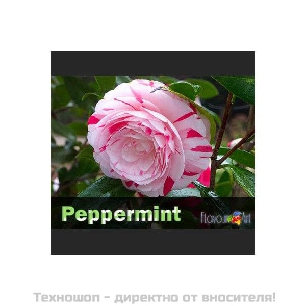 НИКОТИНОВИ ТЕЧНОСТИ - ПЛОДОВИ И ДРУГИ АРОМАТИ 0.50мл. FLAVOURART made in ITALY – снимка 6