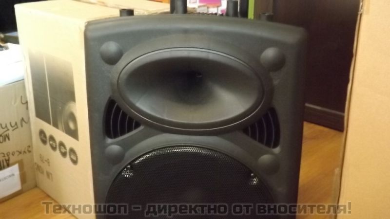 "LY-15" - МОЩНА КАРАОКЕ ТОНКОЛОНА С 15 ИНЧОВ БАС! С FM ТУНЕР, BLUETOOTH, 2 БЕЗЖИЧНИ МИКРОФОН, ДИСТАНЦИОННО, ВГРАДЕН АКУМУЛАТОР и MP3 - ОТ SD КАРТА ИЛИ ФЛАШКА – снимка 17