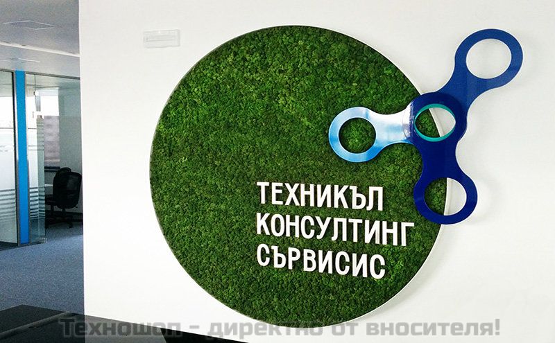 Зелени стени от Скандинавски полярен мъх ( CLADONIA RANGIFERINA ) – снимка 3