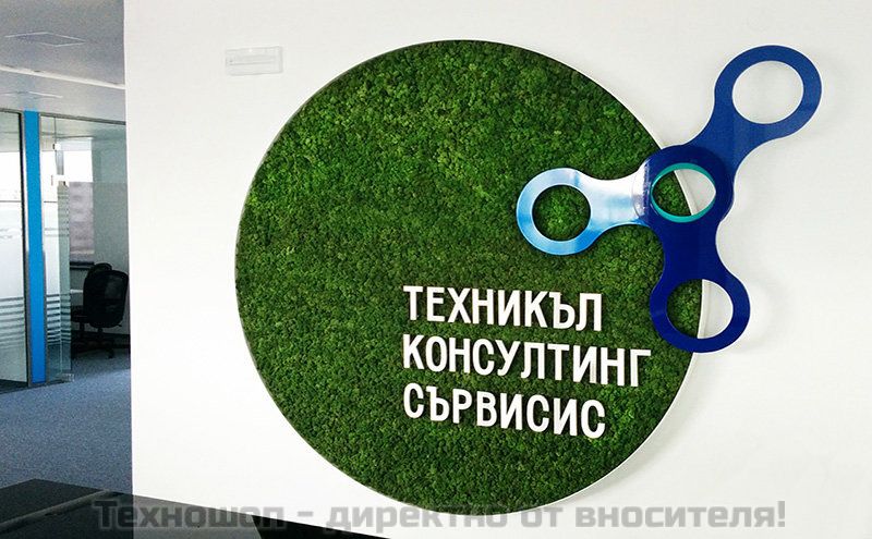 Зелени стени от Скандинавски полярен мъх ( CLADONIA RANGIFERINA ) – снимка 5