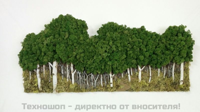 "ТАЙНСТВЕНА ГОРА" пано от Скандинавски полярен мъх – снимка 3