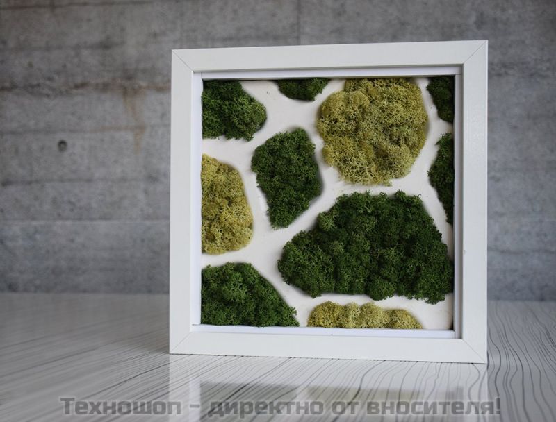 "GREEN AND WHITE" - арт картина от Скандинавски жив мъх – снимка 2