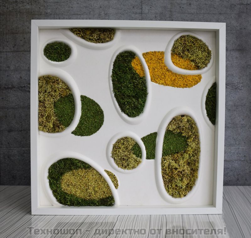 "ELLIPSE MOSS" - арт картина от Скандинавси полярен мъх – снимка 2