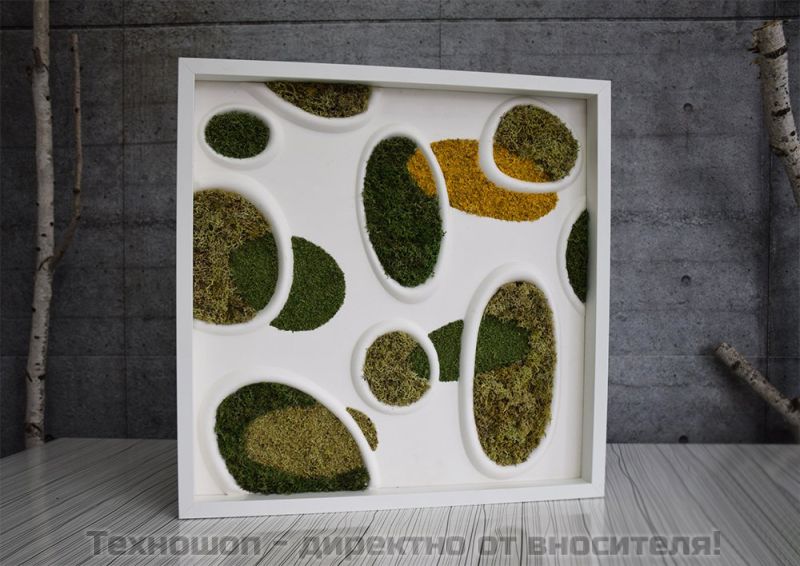 "ELLIPSE MOSS" - арт картина от Скандинавси полярен мъх – снимка 3