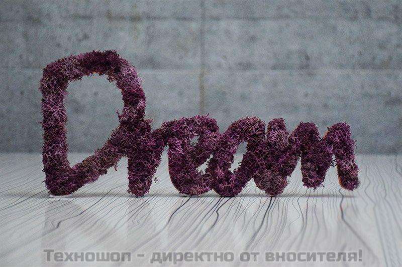"DREAM" - надпис от истински полярен Скандинавски мъх – снимка 2