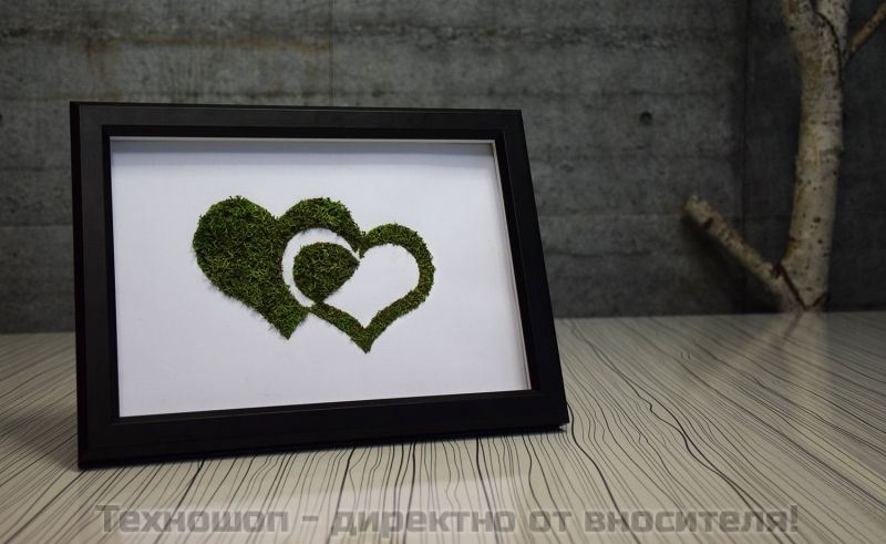 "GREEN HEARTS" - картина от жив полярен мъх – снимка 3