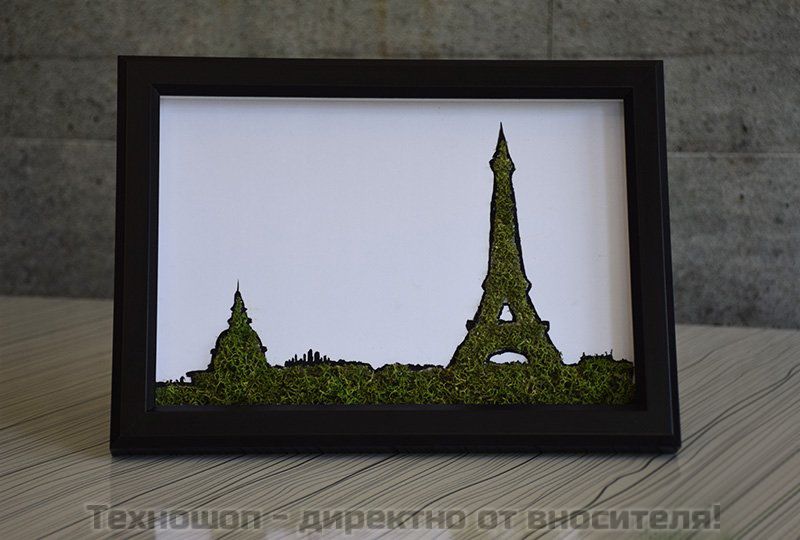 "CITYSCAPE PARIS" - картина от Скандинавски полярен мъх – снимка 2