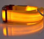 Светещ LED нашийник за куче - 1