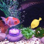 Водоустойчива LED лампа RGB с дистанцинно - 3