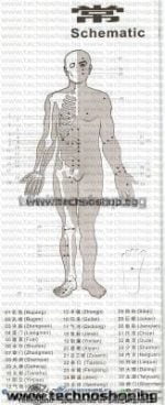 ПРОМОЦИЯ! ДВУПОЗИЦИОНЕН ДЕТОКСИКАТОР YJ-B06 - С ПОДАРЪК 2 ЕЛЕКТРОДА!