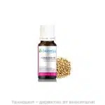Масло от кориандър - Coriandrum Sativum Oil