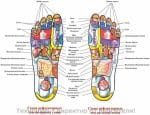 МАСАЖНИ ЧЕХЛИ ЗА РЕФЛЕКСОТЕРАПИЯ LANAFORM Foot Reflex