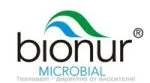 Универсален почистващ камък BIONUR