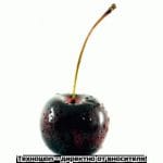 НИКОТИНОВИ ТЕЧНОСТИ - ПЛОДОВИ И ДРУГИ АРОМАТИ 0.50мл. FLAVOURART made in ITALY