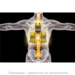 Термомасажно легло X03 - сгъваем модел - Image 9
