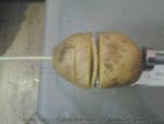 НОЖ ЗА КАРТОФЕНИ СПИРАЛИ - ЗА МАШИНА ЗА 