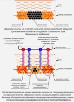 ИНФРАЧЕРВЕНО