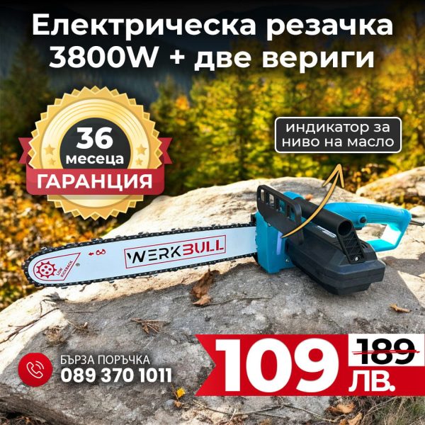 Немска Електрическа Резачка за Дърва 46см WerkBull 3800W - 1