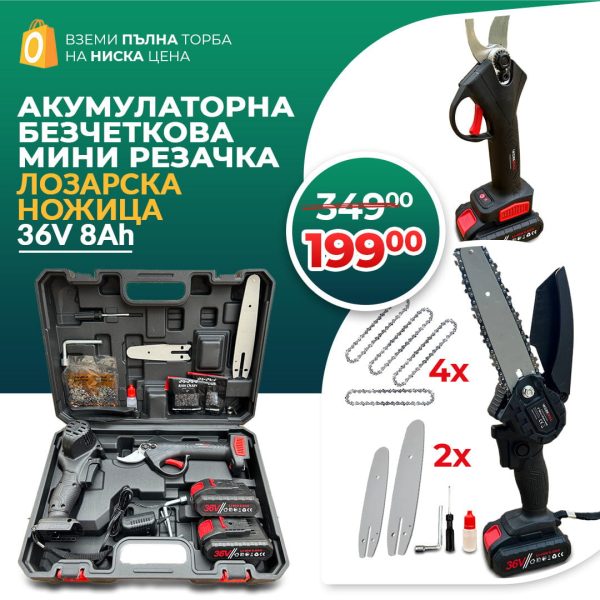 Промо 2в1 комплект WerkBull Акумулаторна Лозарска ножица и Мини Трион - 1